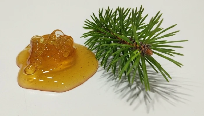 TC24 Ingredient #4
